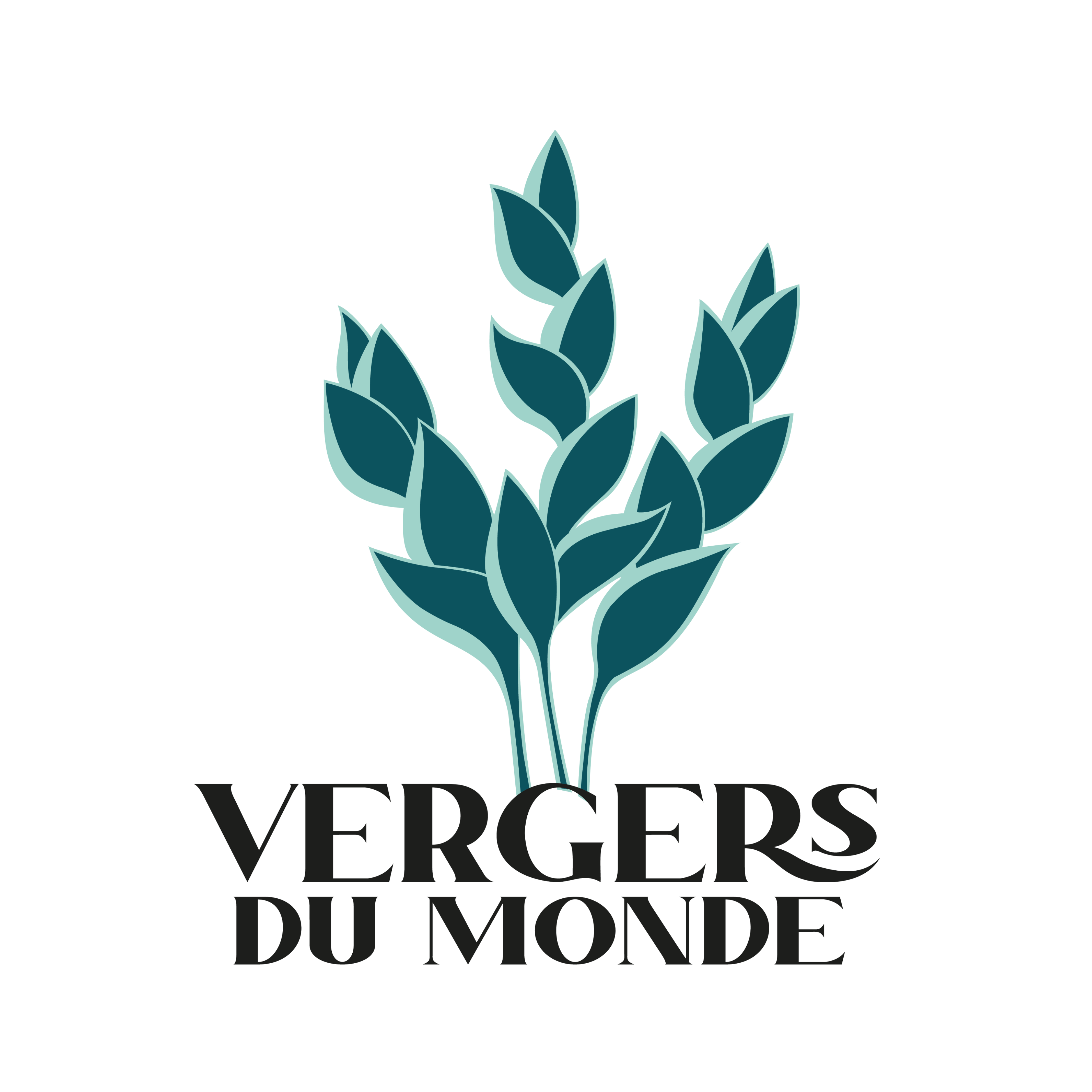 Logo Vergers du Monde